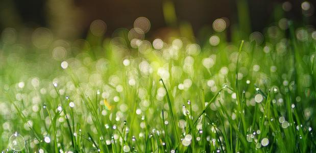 Dauwtrappen: Hemel op aarde 13/05